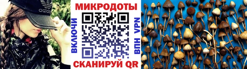 Галлюциногенные грибы Cubensis Балтийск